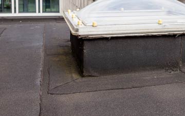 disadvantages of Whaley flat roofs